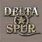 Delta Spur - Classic and Contemporary Country Music Tribute Band